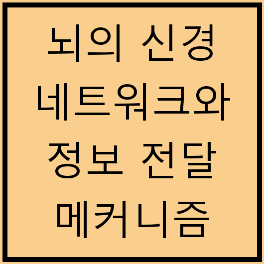 뇌의 신경 네트워크와 정보 전달 메커니즘