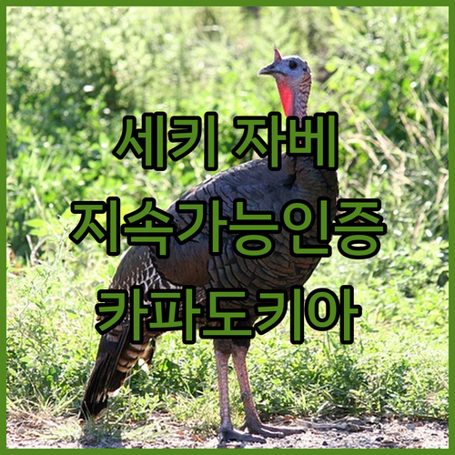 세키 자베 자부신 호텔.. 지속 가능
