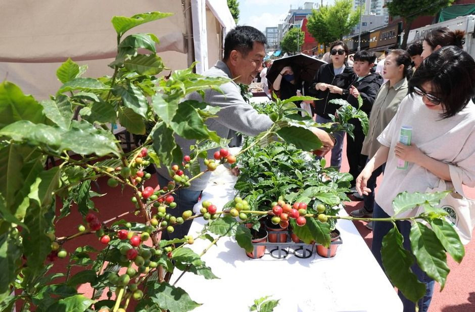 커피숲 이미지