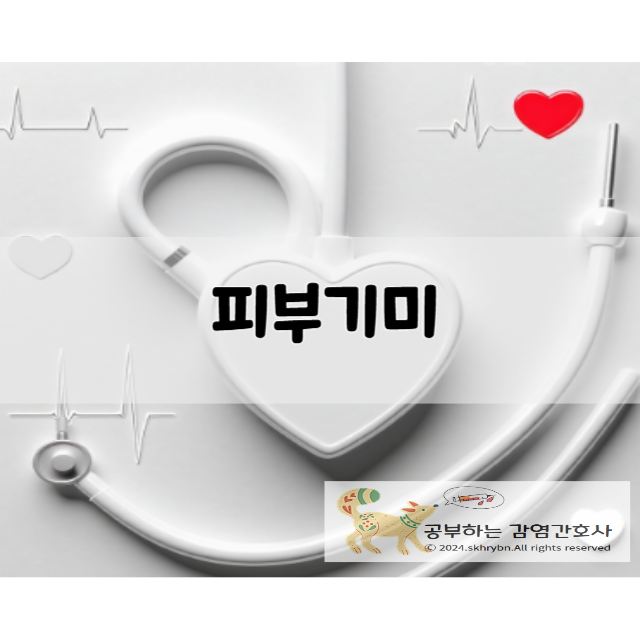 피부과 안 가고도 기미 없애는 방법? 집에서 빠르게 없애는 법! 전문가 추천 홈케어 비법