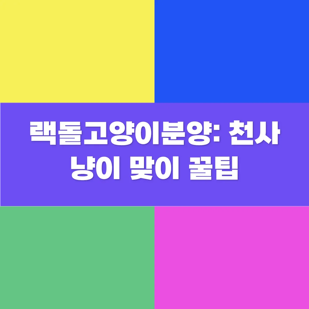 이미지_1