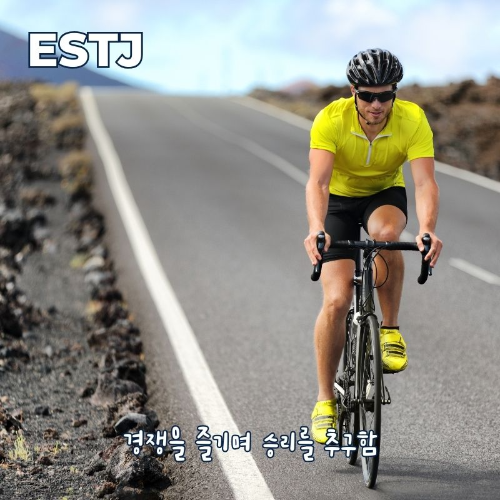 ESTJ-성격-특징