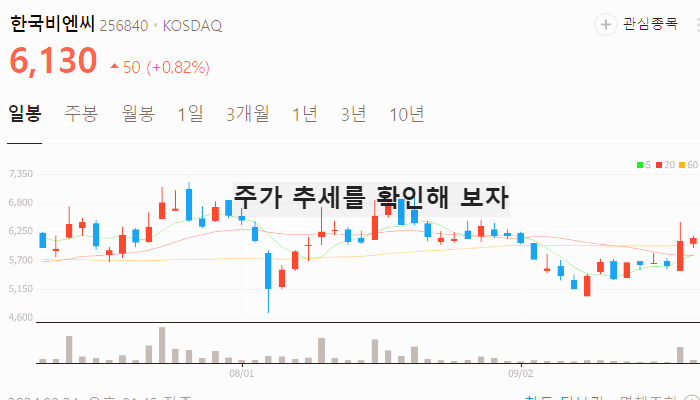 오젬픽 관련주 대장주 테마주 TOP7 : 노보노디스크