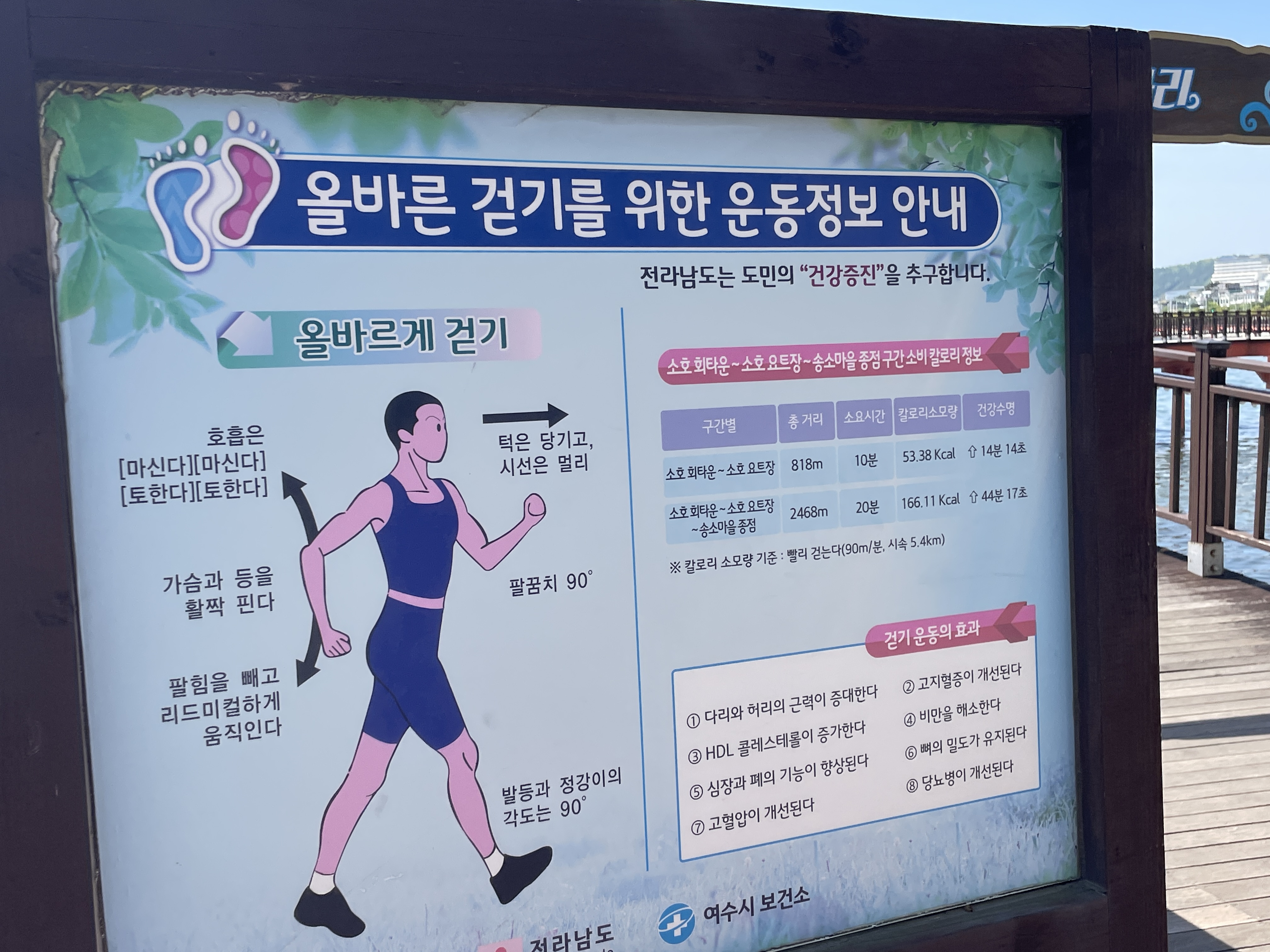 올바른 걷기를 위한 운동정보 안내