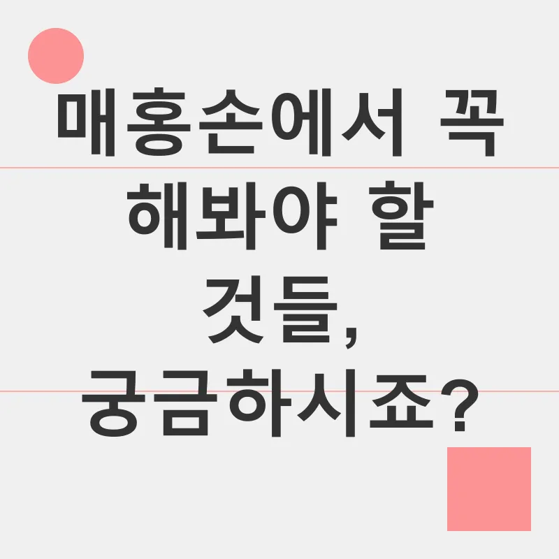 매홍손 여행_2