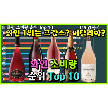  와인을 가장 많이 마시는 나라는? (추천 브랜드와 세계 와인 순위 1961년~)