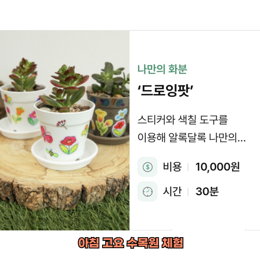 아침고요수목원 체험