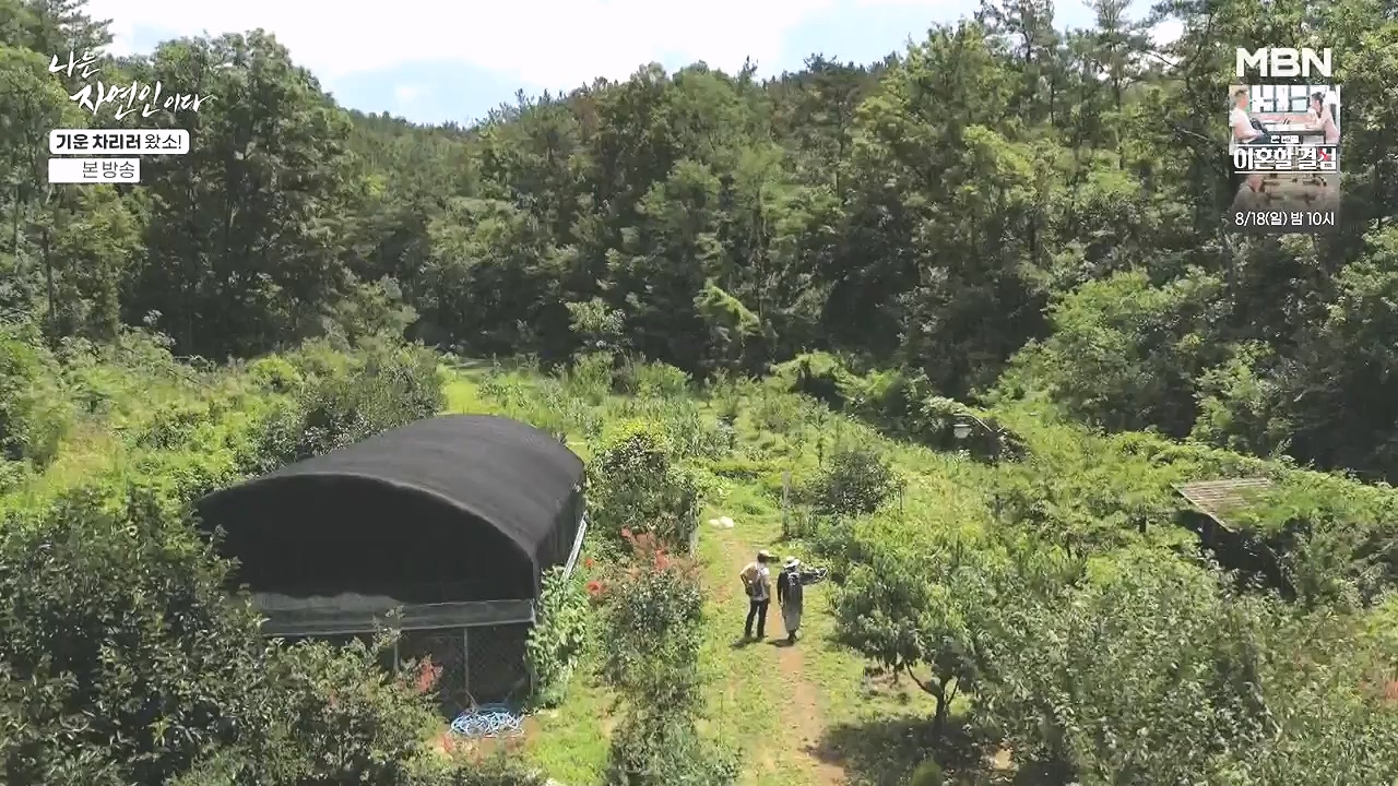 나는 자연인이다.E617.240808p-NEXT.mp4_20240808_195041.663.jpg