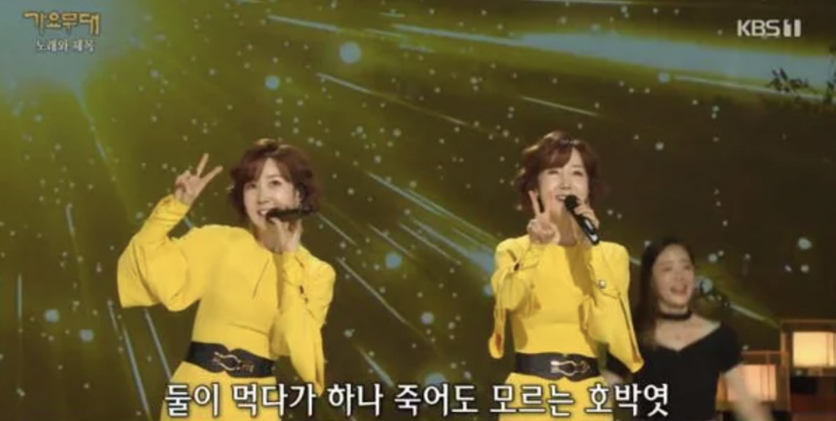 가수-윙크