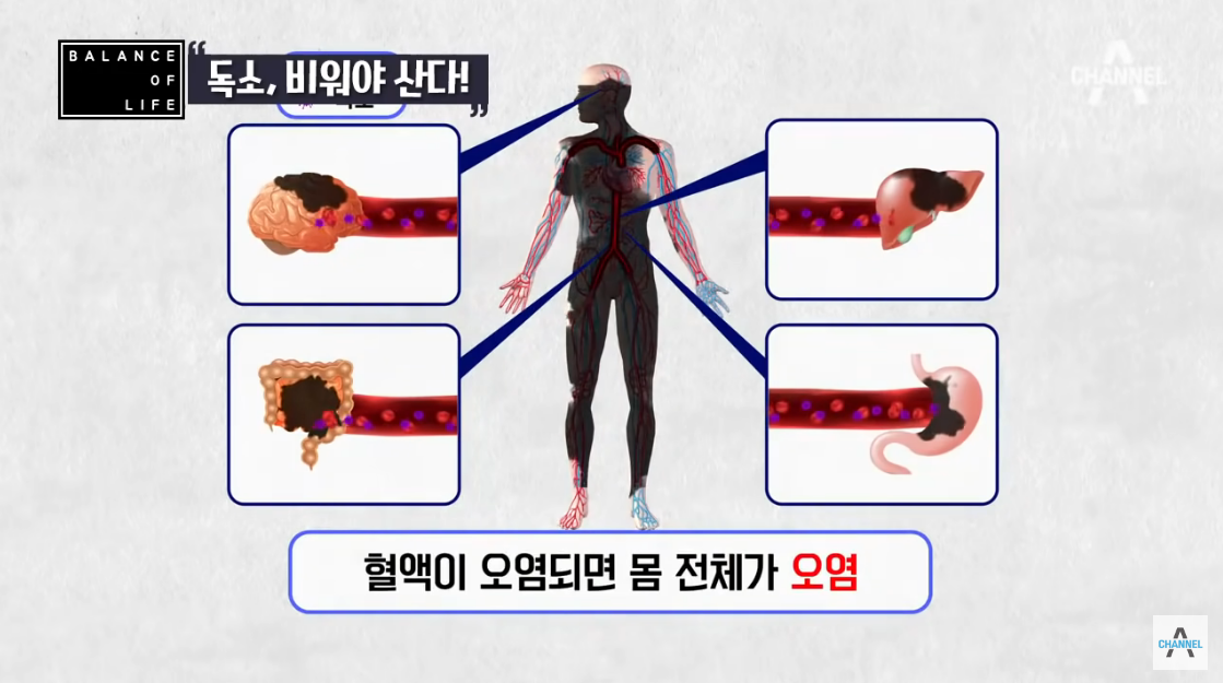 간해독해주는 쑥청혈차