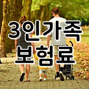 부담 대신 3인 가족 보험료 정리 3