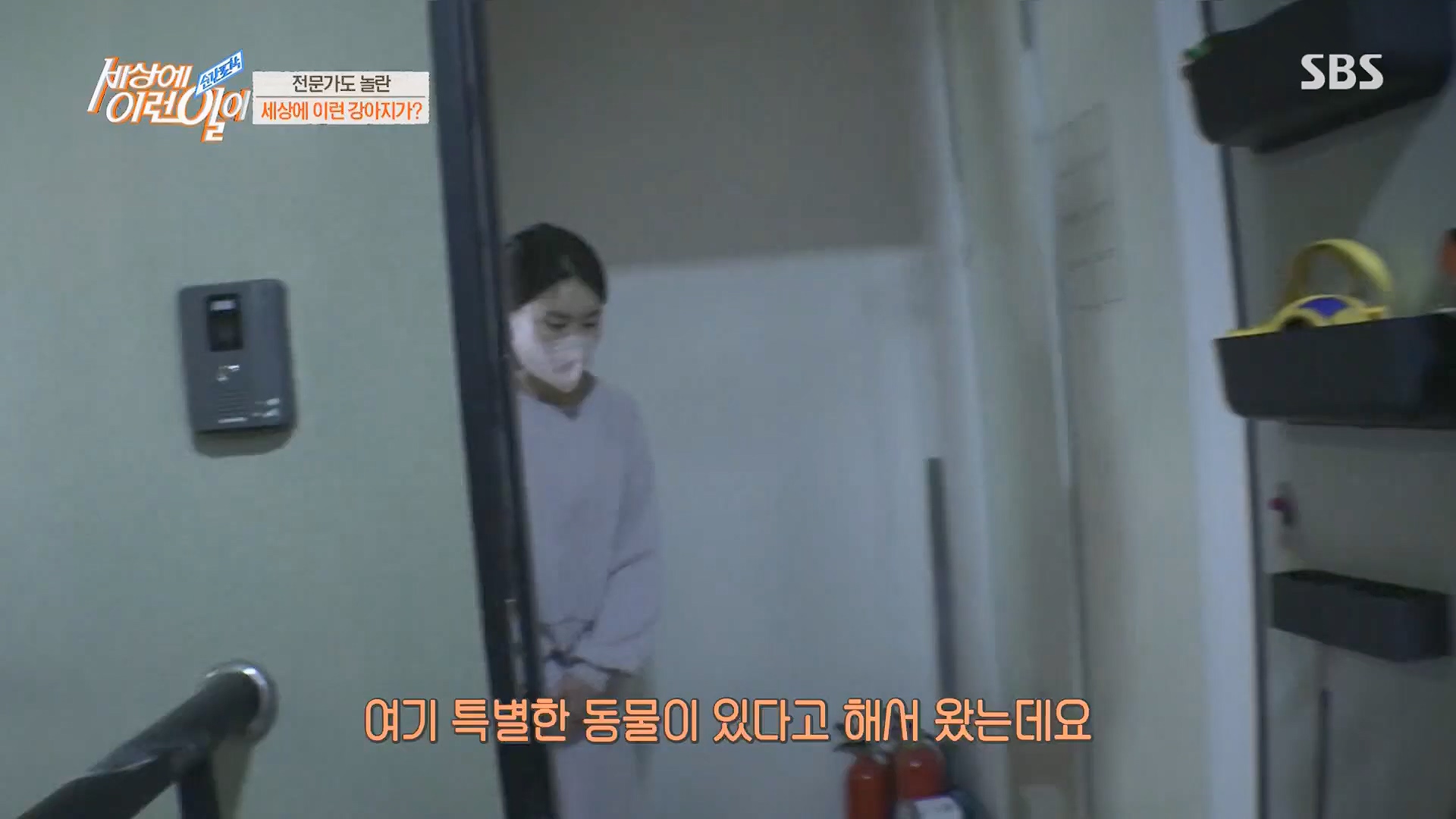 순간포착 세상에 이런일이.E1229.230509p.H264-F1RST.mp4_20230510_194442.880.jpg