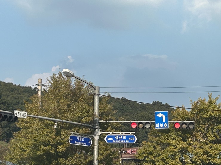 비보호신호등