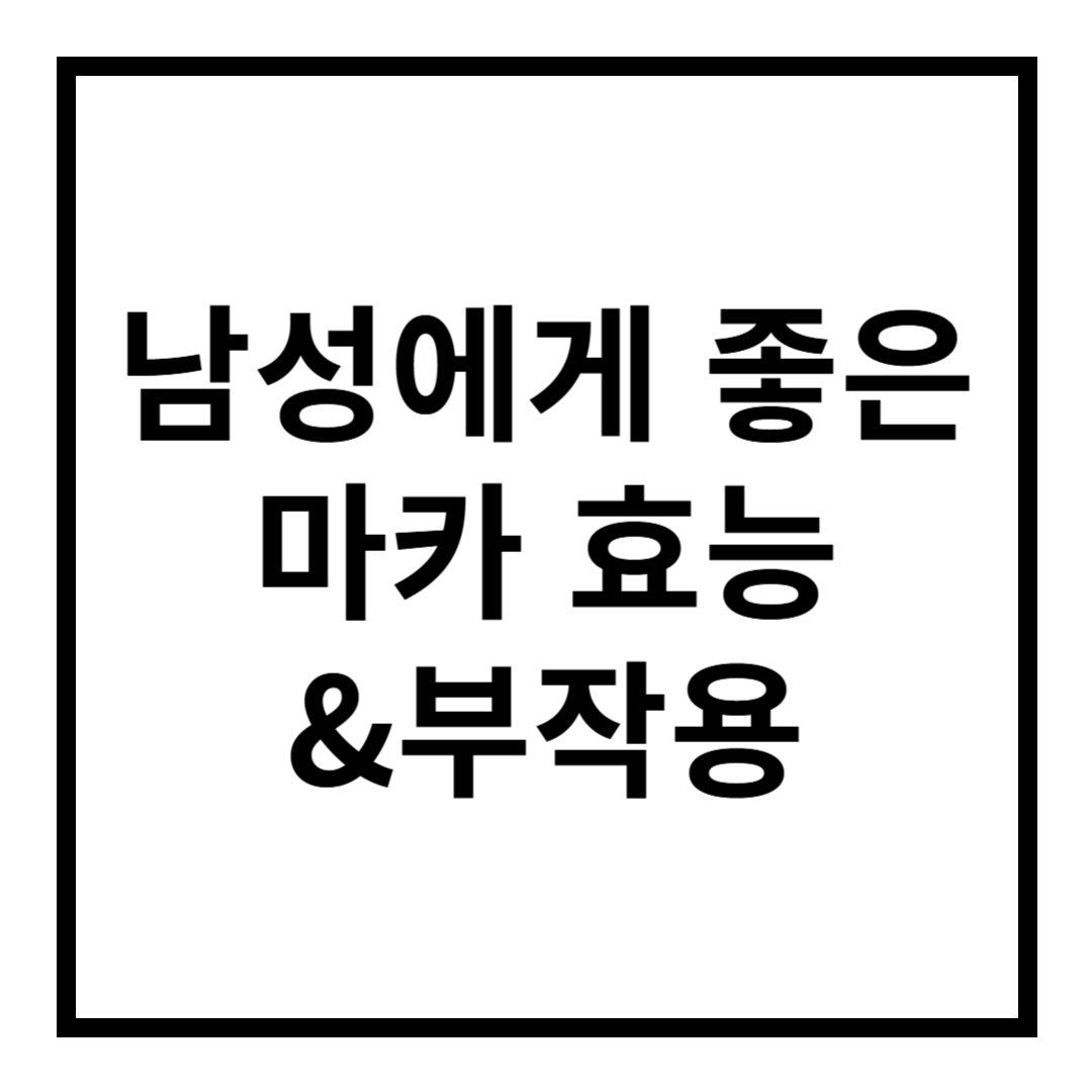 마카 효능