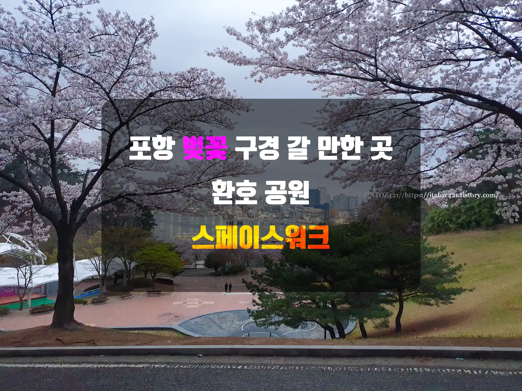 포항 벚꽃 구경 갈만한 곳 환호 공원