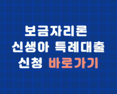 정부지원 보금자리론과 신생아 특례대출/신청방법 알아보기