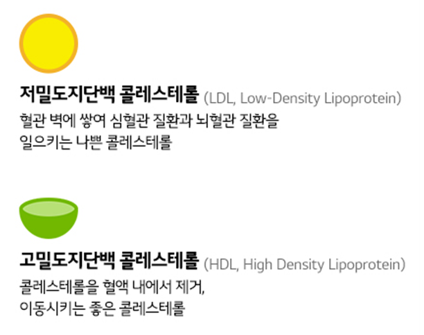 LDL과 HDL