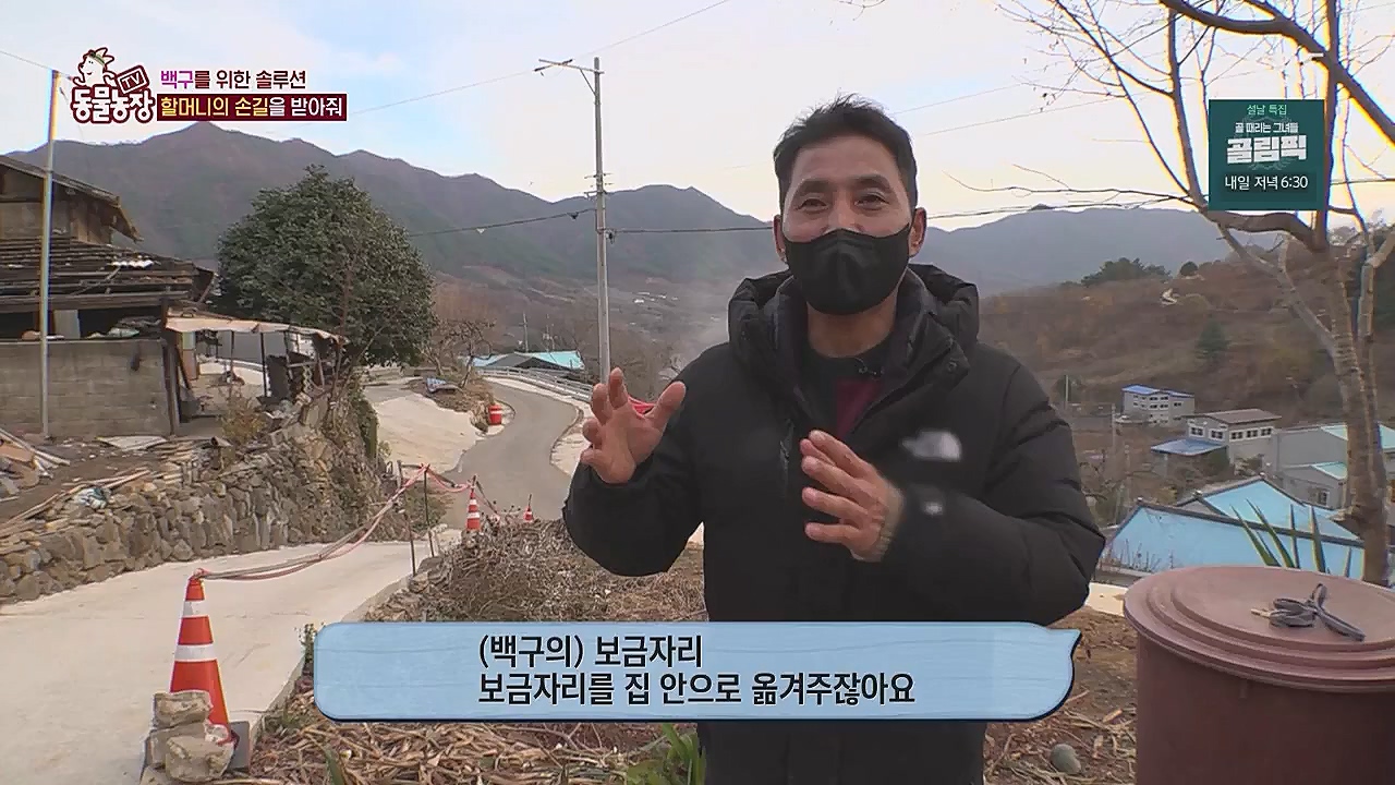TV 동물농장.E1104.230123p.WANNA.mp4_20230123_195412.849.jpg