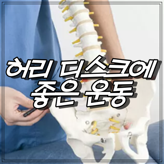 허리디스크에좋은운동