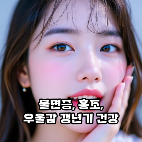 갱년기-관리-식은땀-홍조-호르몬-관리