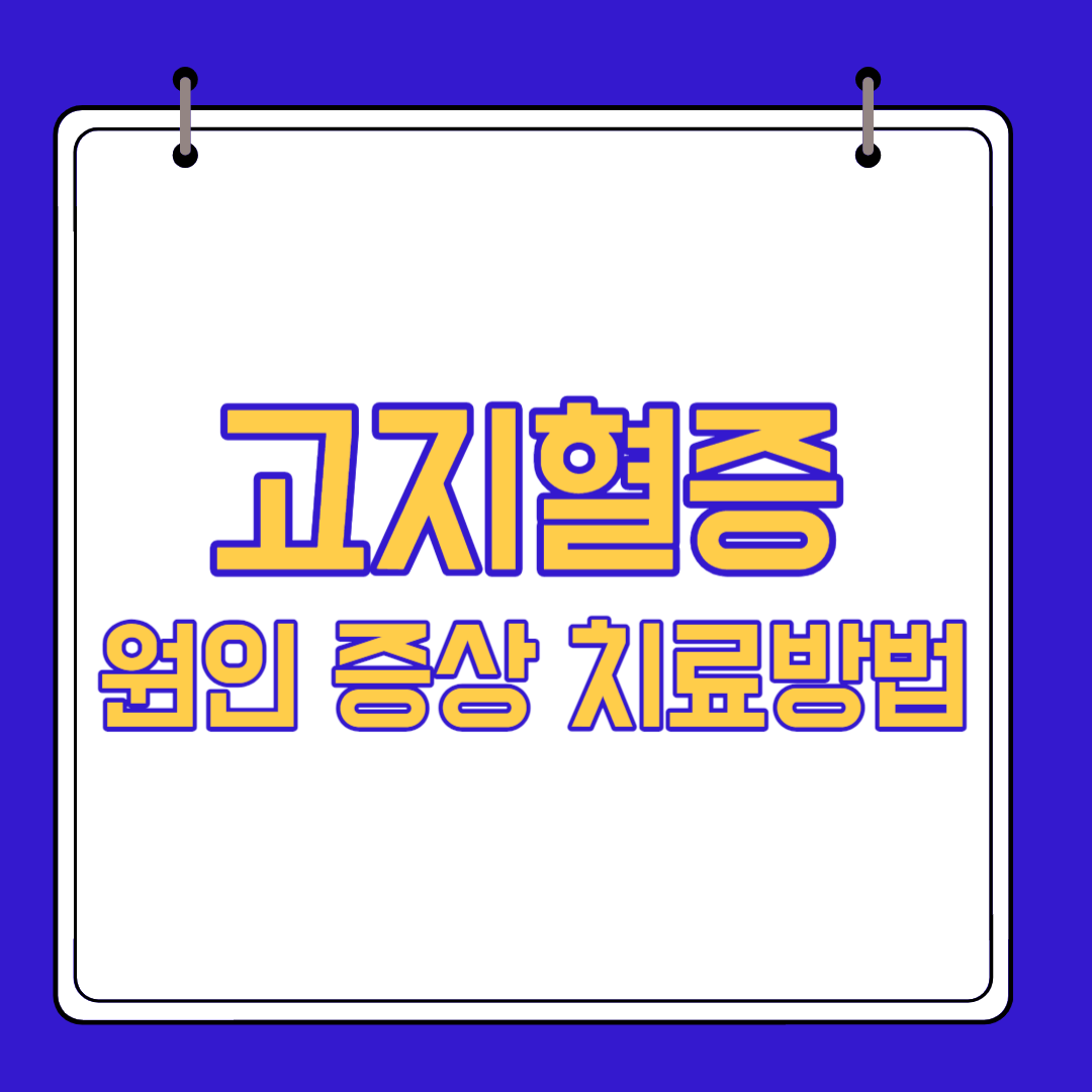  고지혈증 원인 증상 치료방법