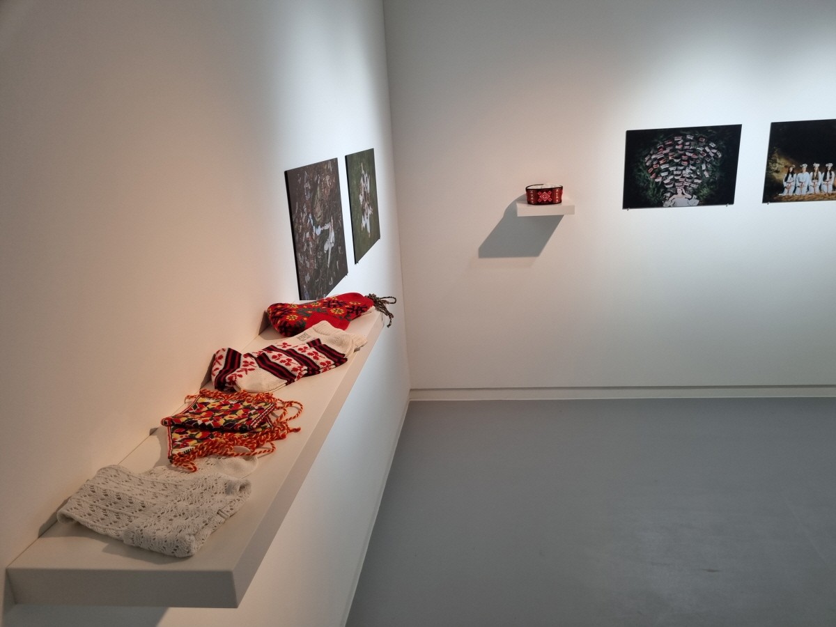 라트비아! 금정구 16