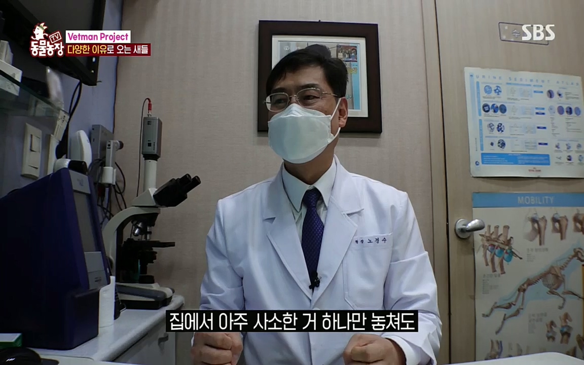 TV 동물농장.E1076.220704p.H264-F1RST.mp4_20220703_175602.824.jpg