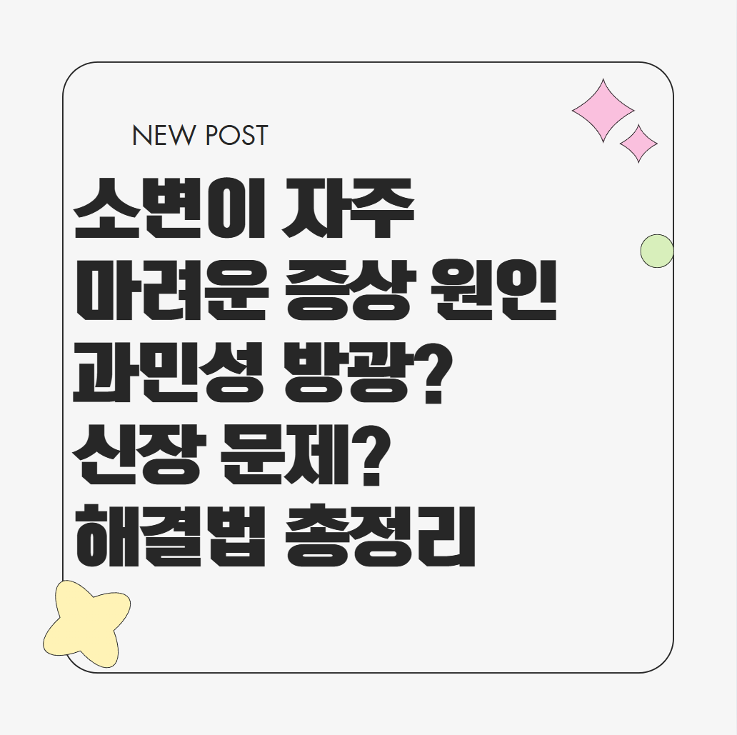 소변이 자주 마려운 증상 원인과 해결법