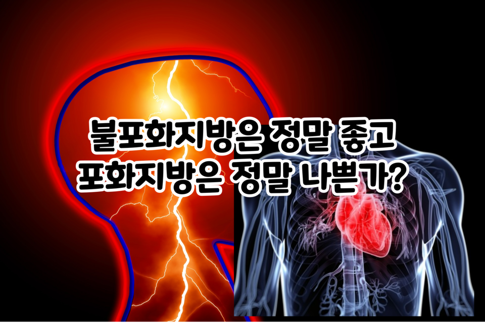 불포화지방-포화지방-차이