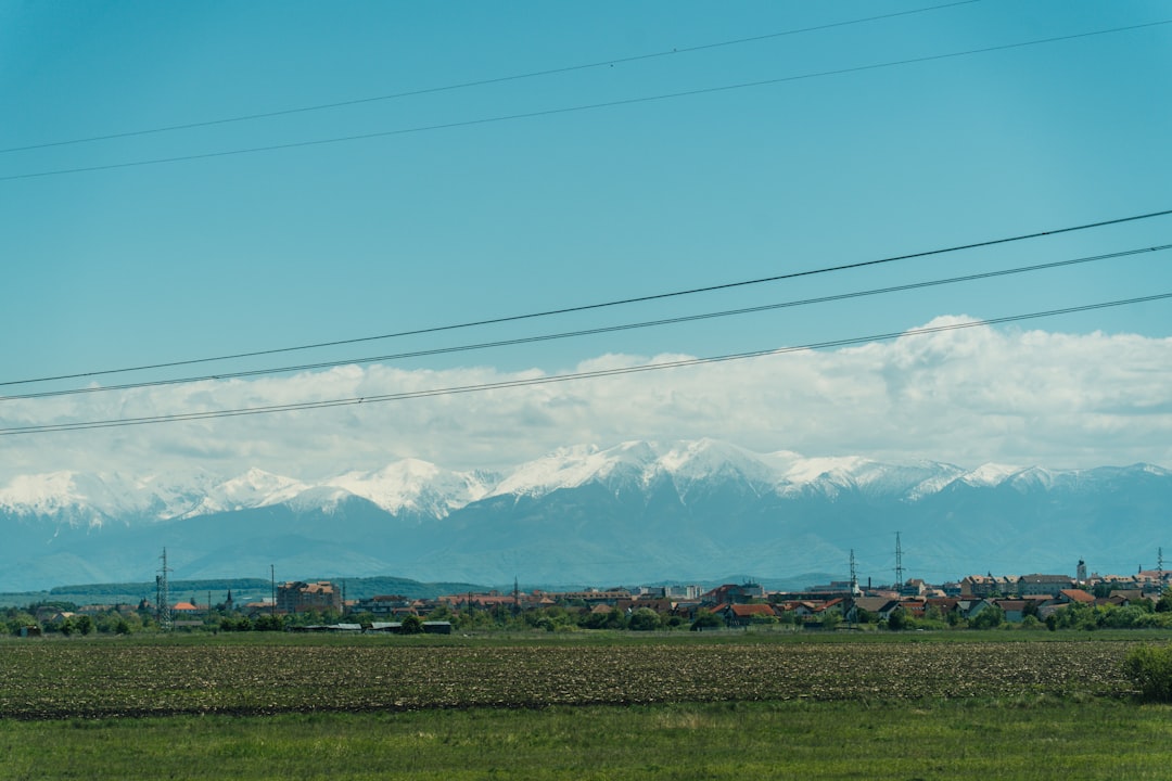 Lazagna