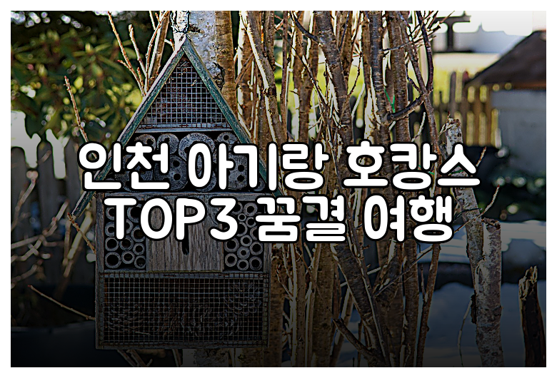인천 아기랑 호캉스 TOP3 꿈결 여행