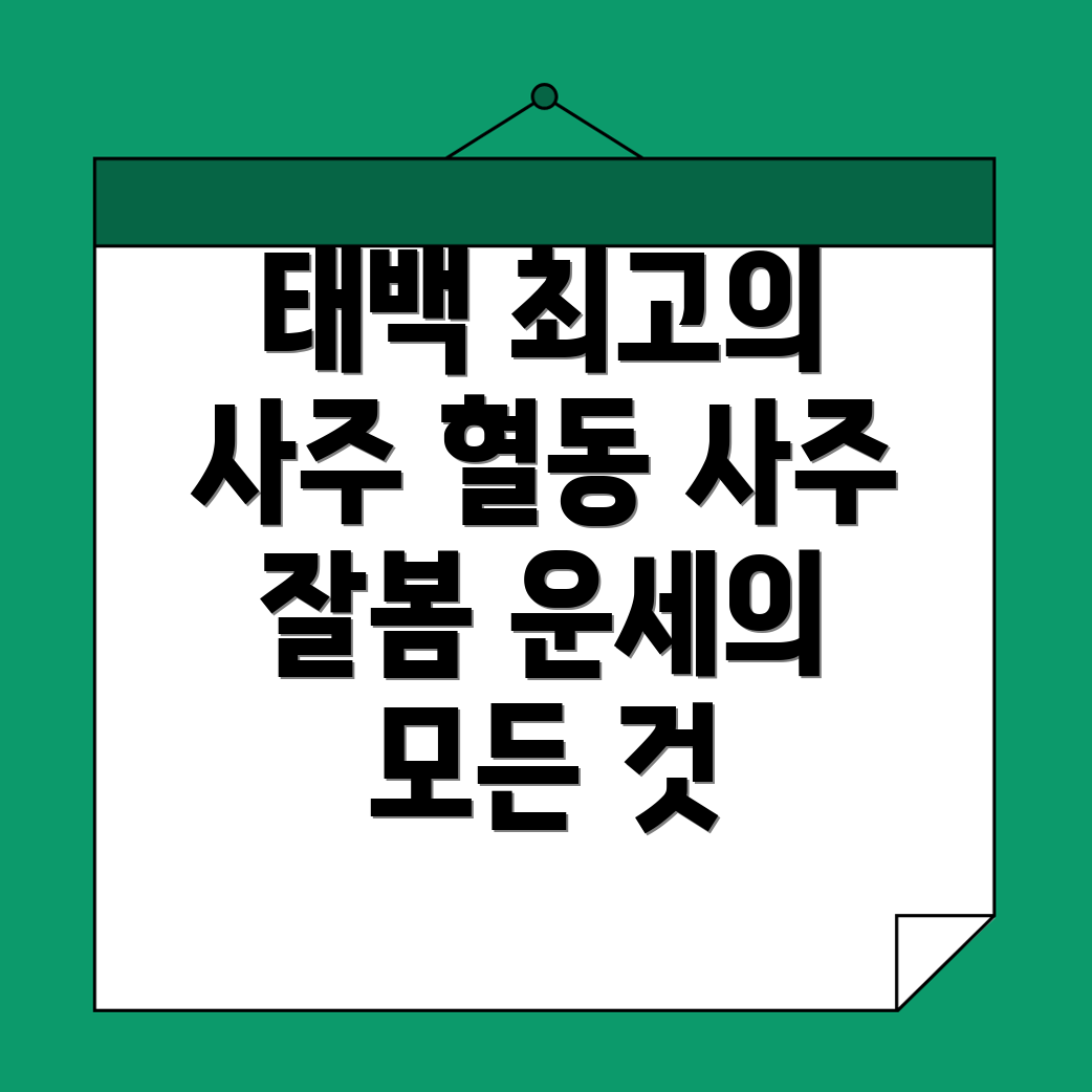 태백시 사주