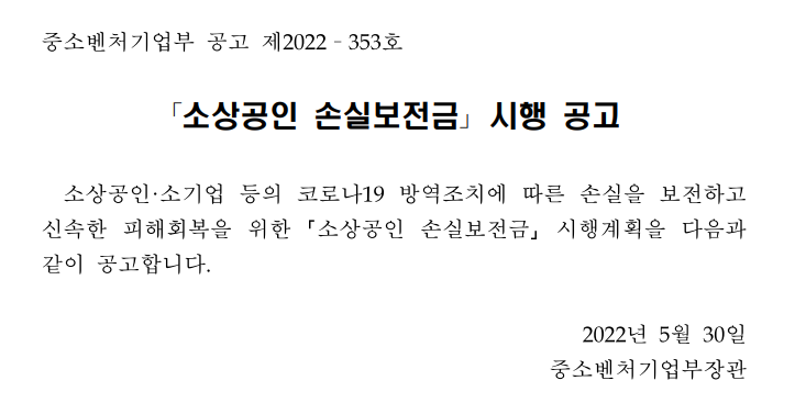 소상공인 손실보전금