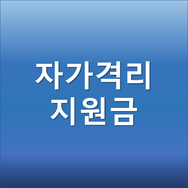  코로나 자가격리 지원금 ( 유급휴가비, 생활지원금, 구호물품)