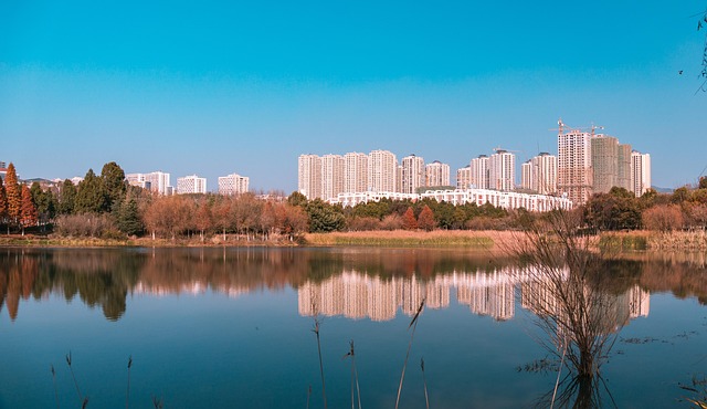 수도권 청년 정책, 지역별 차이점 분석