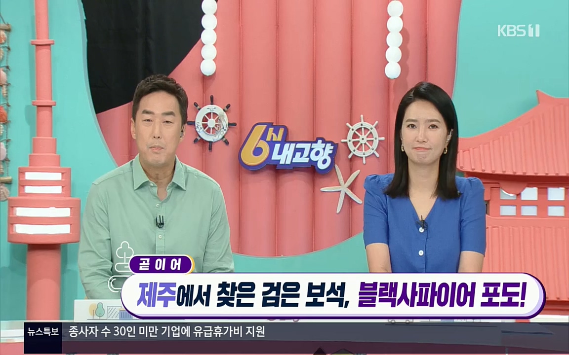 6시 내고향.E7602.220824p.H264-F1RST.mp4_20220825_171305.141.jpg