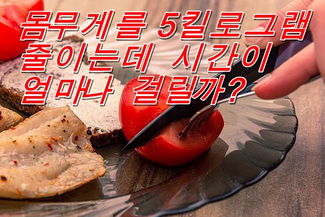  몸무게를 5킬로그램 줄이는데 시간이 얼마나 걸릴까?
