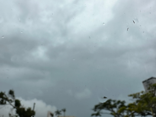 6호태풍 카눈 영향권으로 괌 돌핀투어 취소