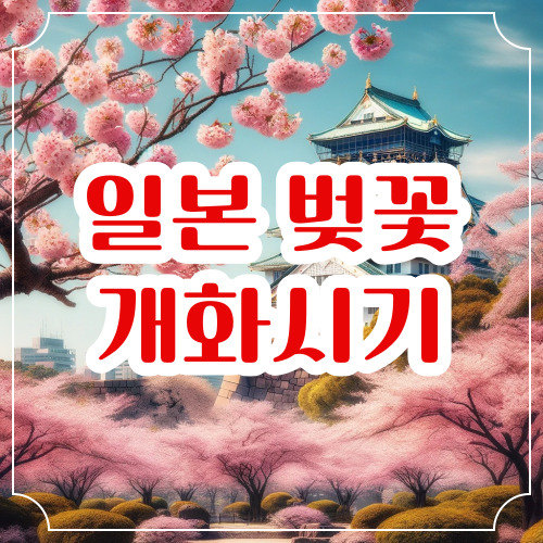 2024 일본 벚꽃 개화시기 명소 추천