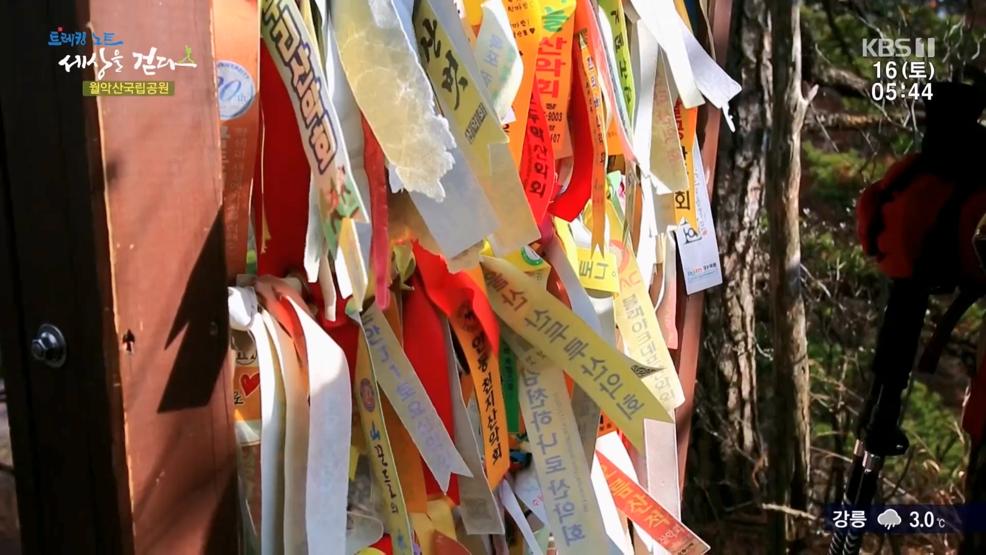 트레킹노트 세상을 걷다.E299.231216p.H264-F1RST.mp4_20240131_200358.747.jpg