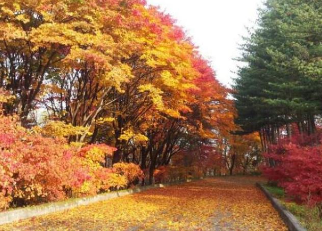 가평 호명호수 가는길 입장료