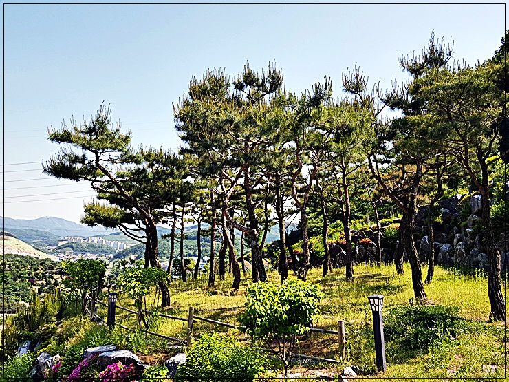 분당수목장 이미지