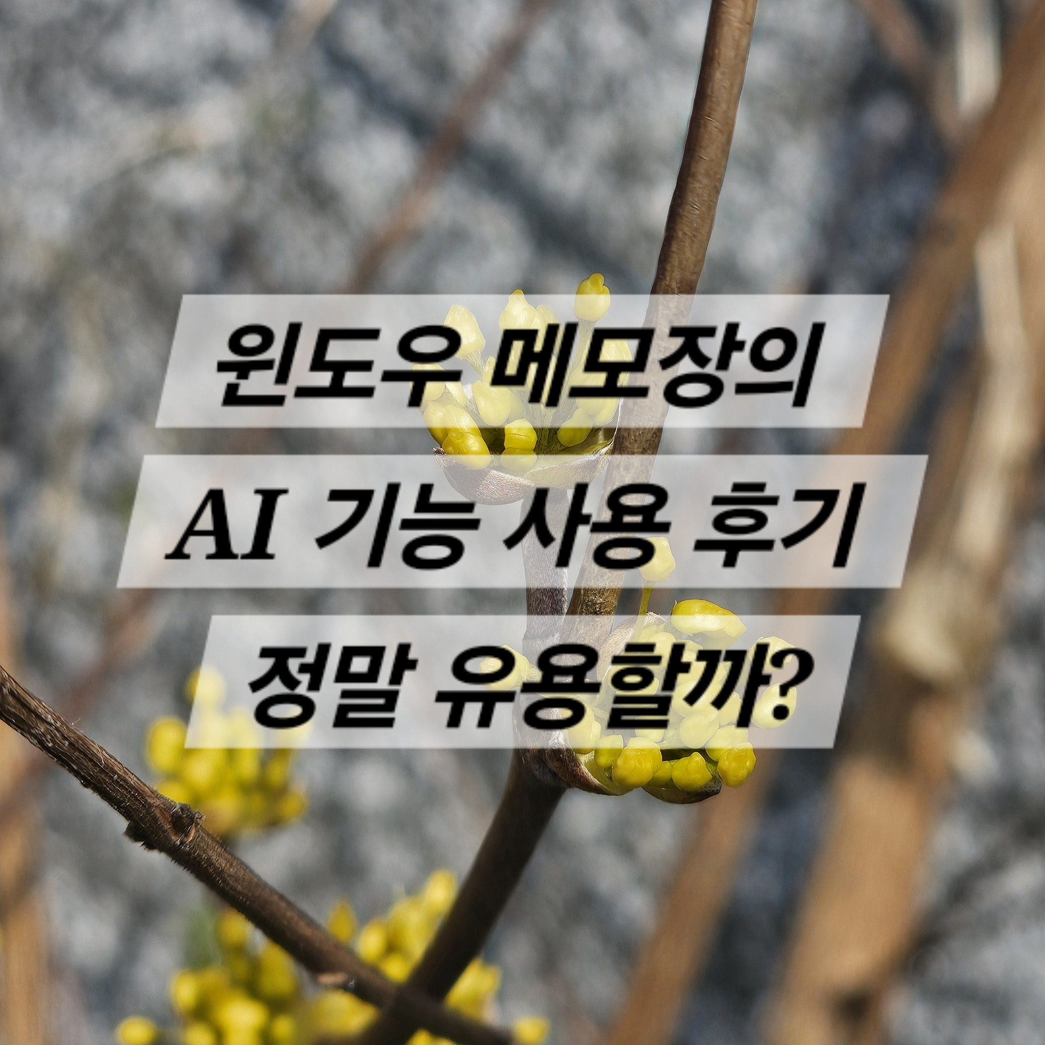윈도우 메모장의 AI 기능 사용 후기