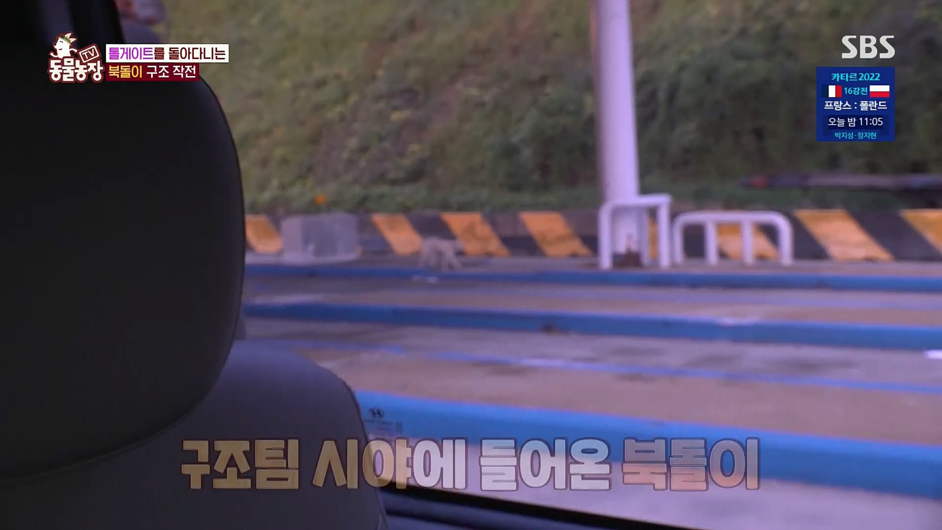 TV 동물농장.E1098.221204p.H264-F1RST.mp4_20221204_175419.714.jpg