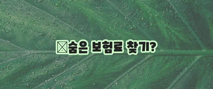 다이렉트 자동차 보험 견적 꼭 받아봐야 하는 이유!