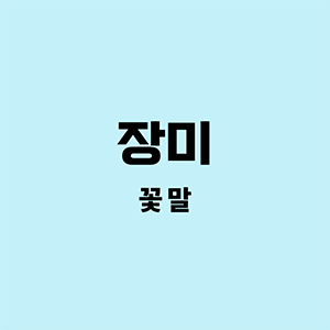 장미