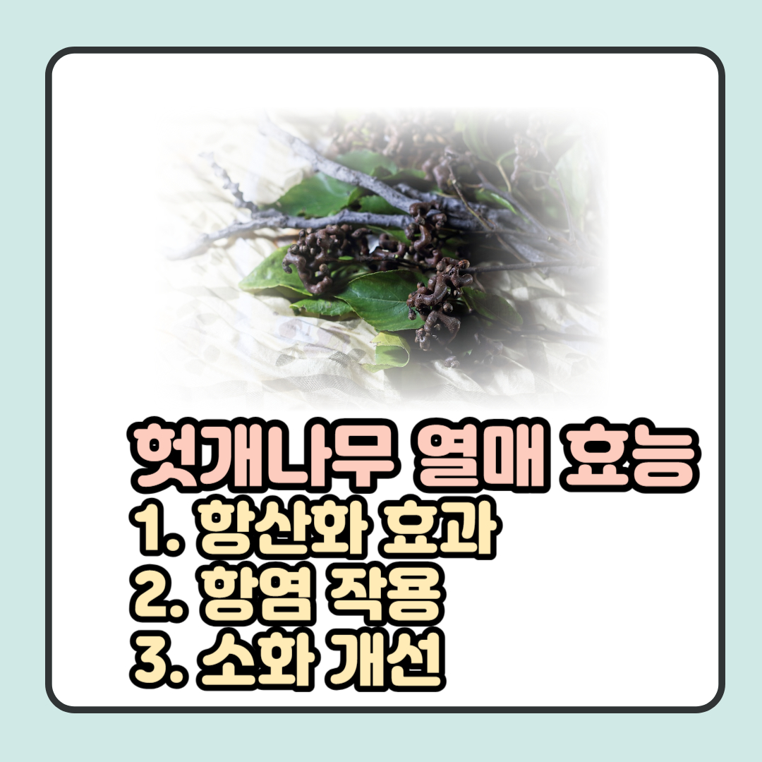  헛개나무 열매 효능, 부작용, 섭취 시 주의사항, 먹는법 알아보기