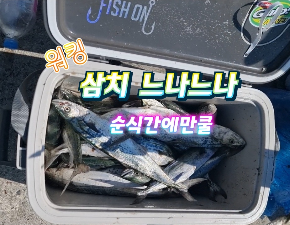  남해여행 가볼만한곳 바다낚시포인트,차박캠핑