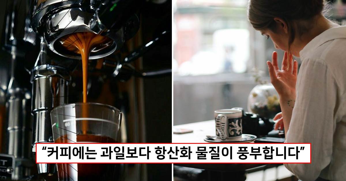 커피 효능