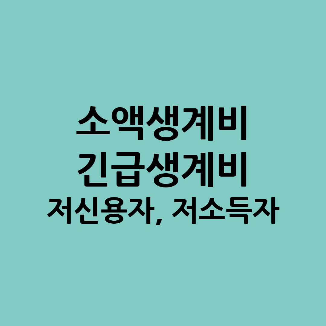 소액생계비